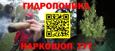 прущая мука Можга