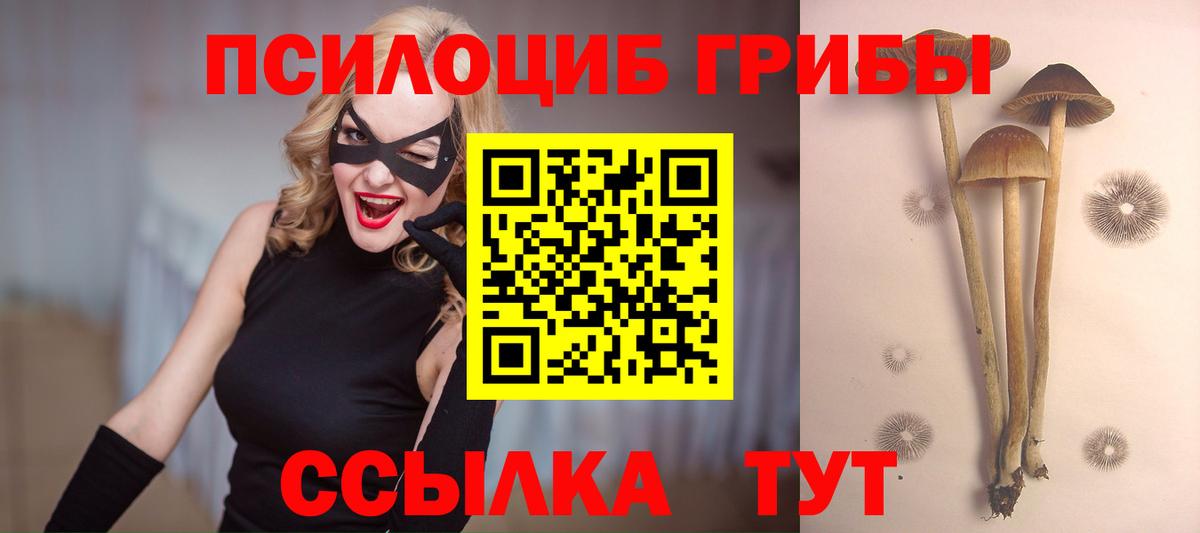 Псилоцибиновые грибы MAGIC MUSHROOMS  Вход с VPN  где можно купить наркотик  Черняховск  Галлюциногенные грибы GOLDEN TEACHER 